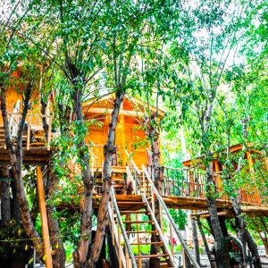 Manthoka Treehouses (10)