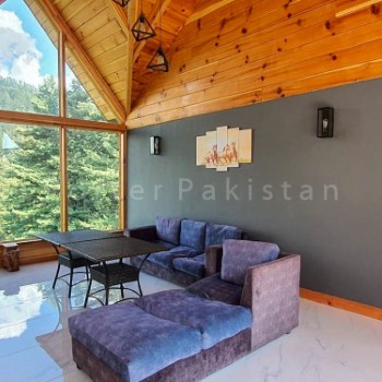 stardust shogran (1)