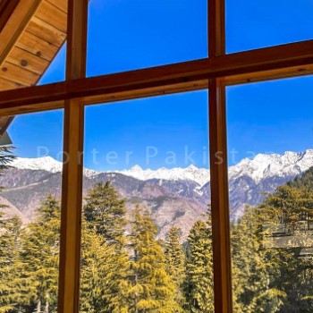 stardust shogran (10)