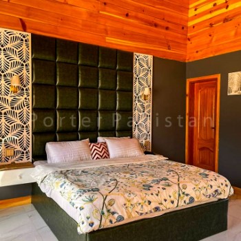 stardust shogran (11)