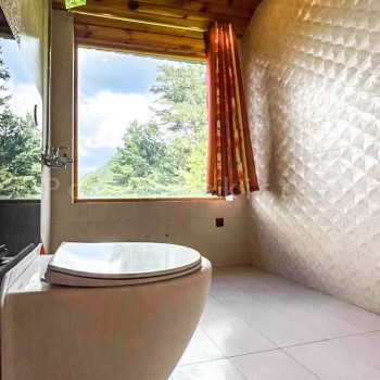 stardust shogran (4)