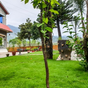 Kashmir Lodge (2)
