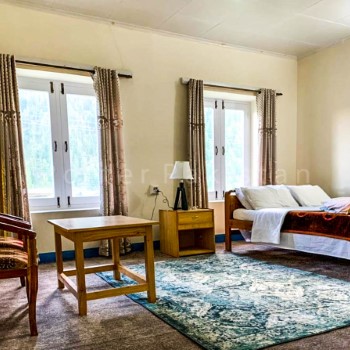 Naltar Palace  (9)