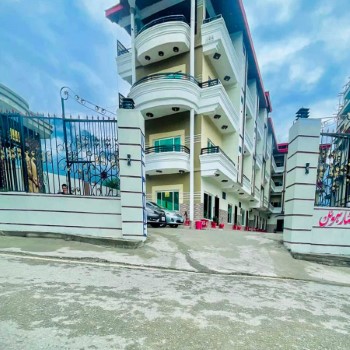 ne golden star kalam (8)