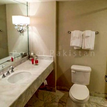 rose palaced gulberg (22)