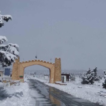 Quetta Ziarat (1)