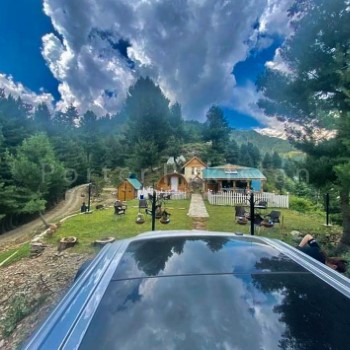 Sharan Forest Glamp (7)