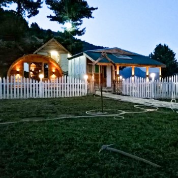 Sharan Forest Glamp (8)
