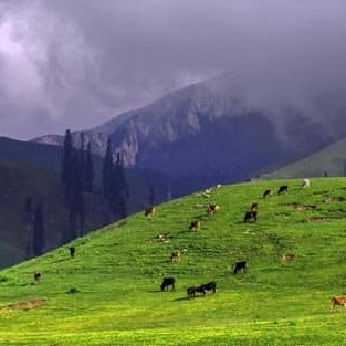 Shogran trip (2)
