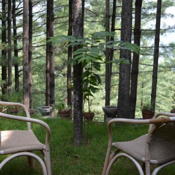 Bhurban Hill apartment (13)