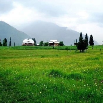 Kshmir  shogran trip (4)