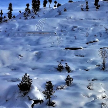 Skiing Trip  (1)