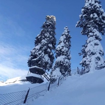 Skiing Trip  (2)