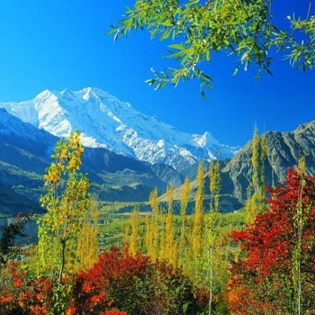 Hunza Blossom Trip (4)