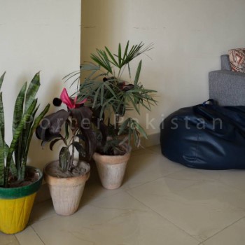 Backpackers (20)