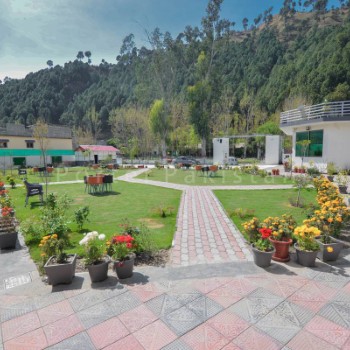 D Cozy Resort (1)