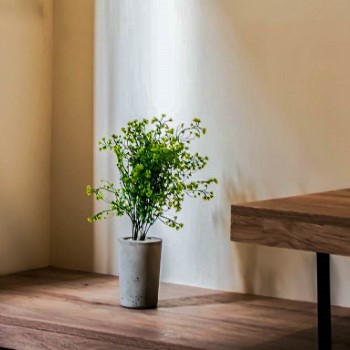 LOKAL Rooms x(Nursery) (2)