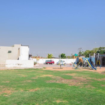 A zee farm (11)