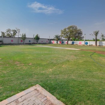 A zee farm (3)