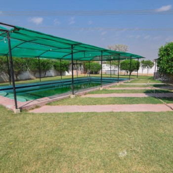 MK Farm (3)