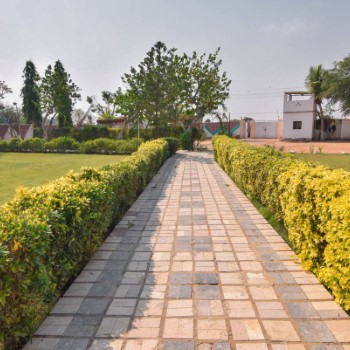 Royal farm (19)