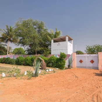 Royal farm (2)