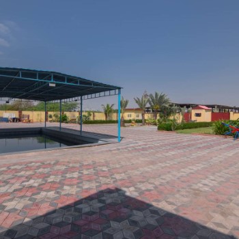 Rukhsar Farm (1)
