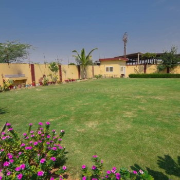 Rukhsar Farm (4)