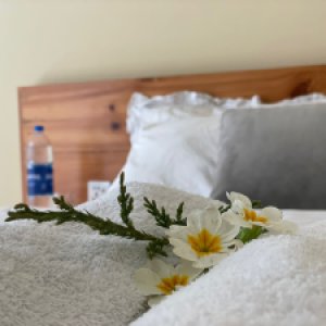 Oro hotel shogran (3)