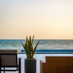 Solace beach hut (13)