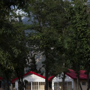 Greenpal Kalam (35)