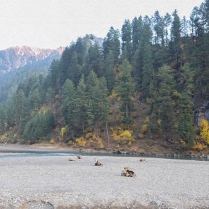 Wyndham heritage (9)