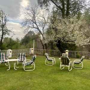 Pine Mount Murree (20)