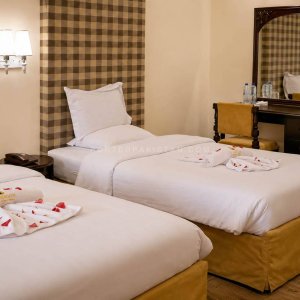 Cedarwood new (3)