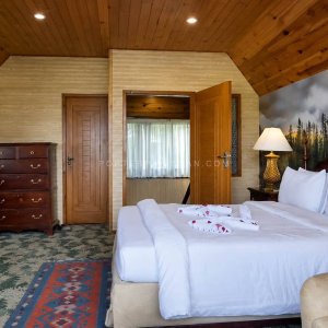 Cedarwood new (5)
