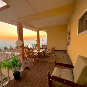 Oro shogran new (10)