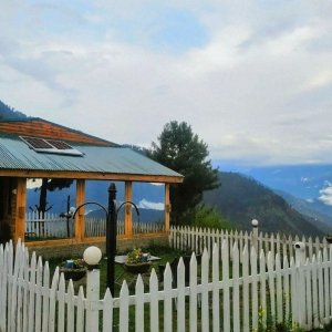 sharan forest 2