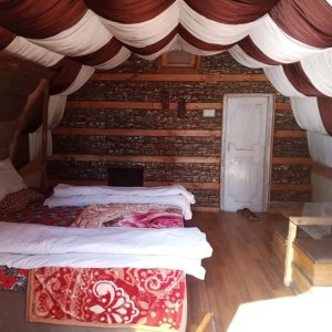 sharan forest 4