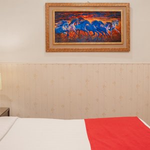 Traveller by grace Islamabad (17)