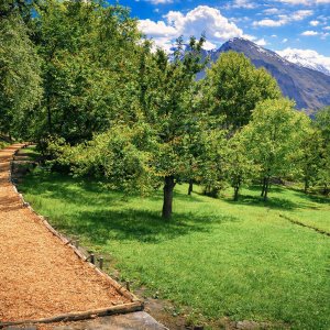 Altit Garden