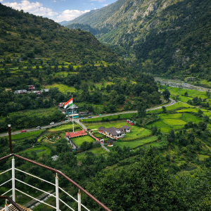 LOC view point