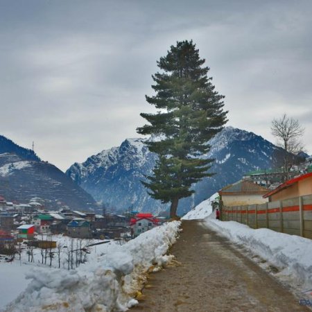 Arang Kel