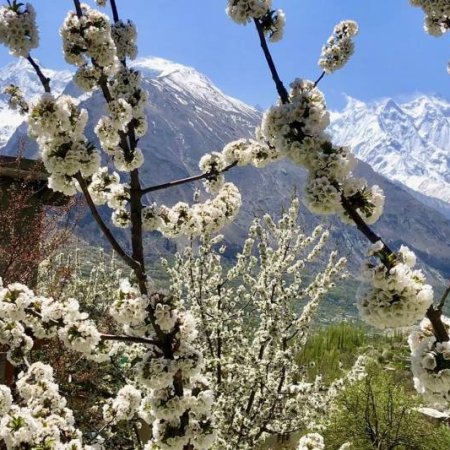 Hunza