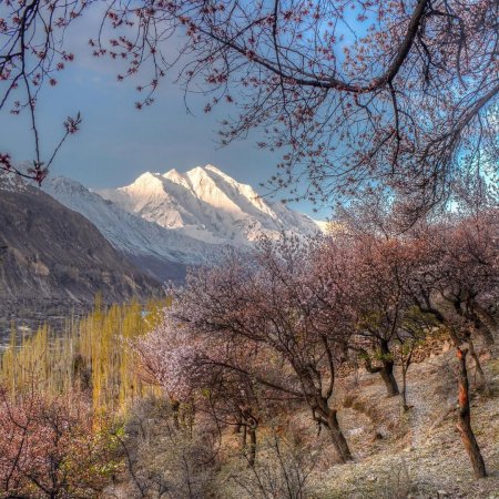 Hunza