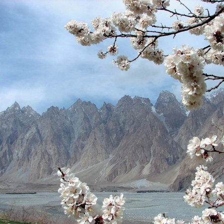 Passu