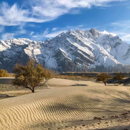 Sarfaranga Desert